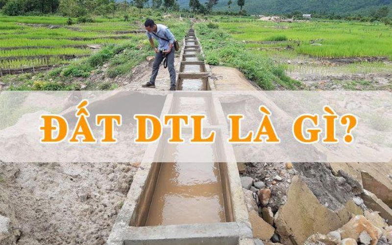 Đất DTL là đất gì? 