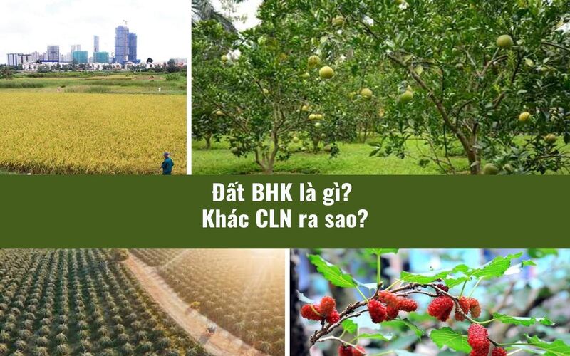 BHK được xem là một loại đất nông nghiệp