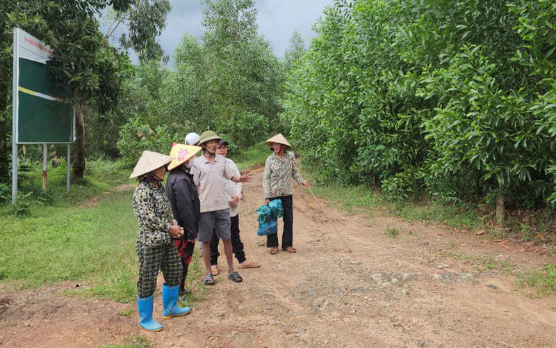 Đất khai hoang nằm trong tính hợp pháp