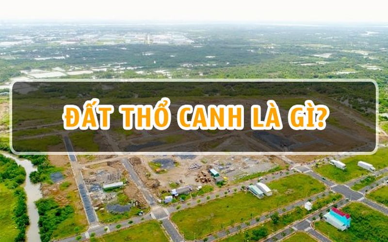 Tổng quát về đất thổ canh là gì?