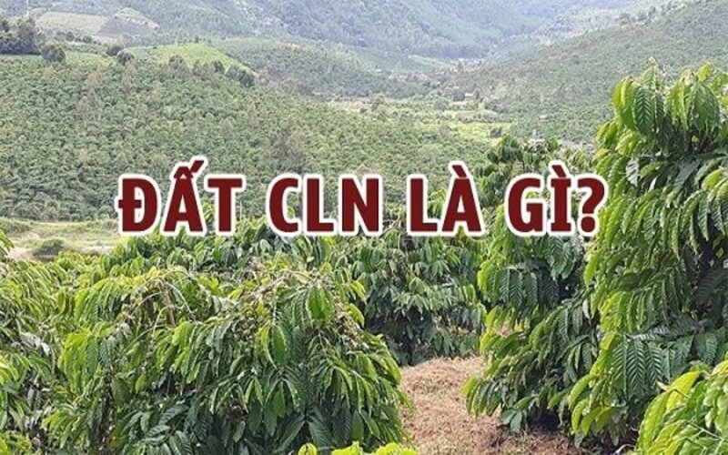 Bạn có biết đất CLN là gì không