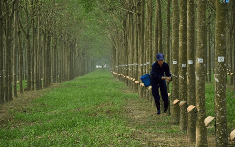 Mang đến sự phát triển bền vững cho nông nghiệp